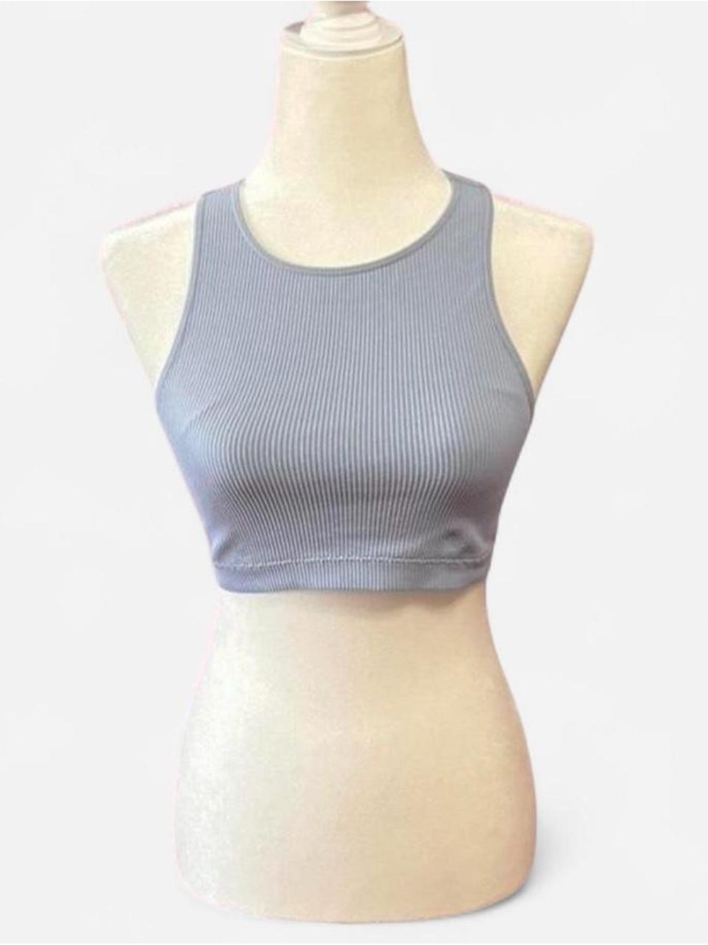 Garage Ribbed Crop Sports Bralette in Light Blue